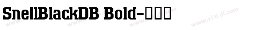 SnellBlackDB Bold字体转换